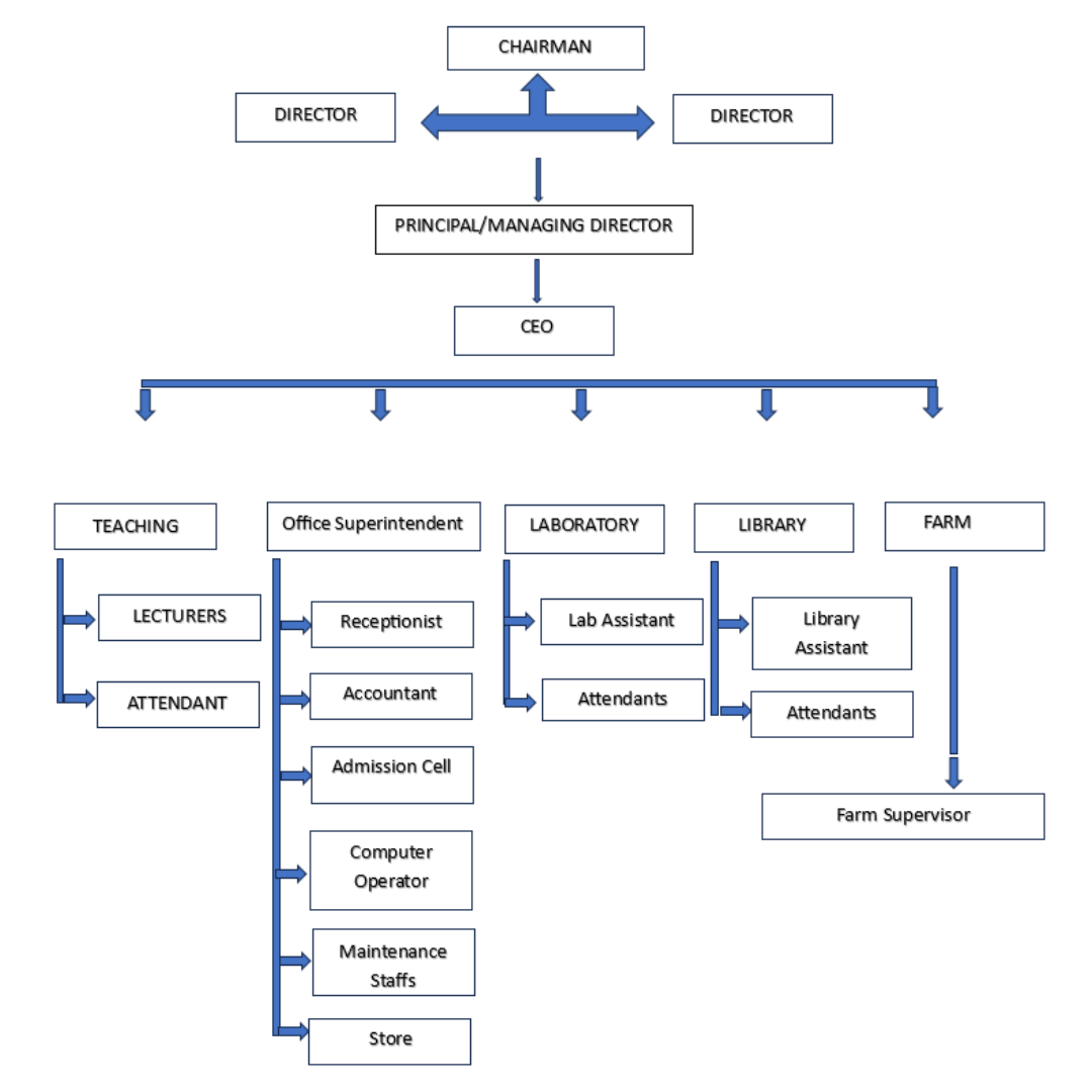 Organizational Structure & Chart for day-to-day Operations & Management: