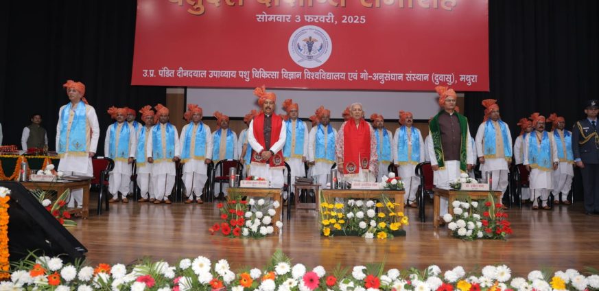 WhatsApp-Image-2025-02-05-at-20.25.45-873x424