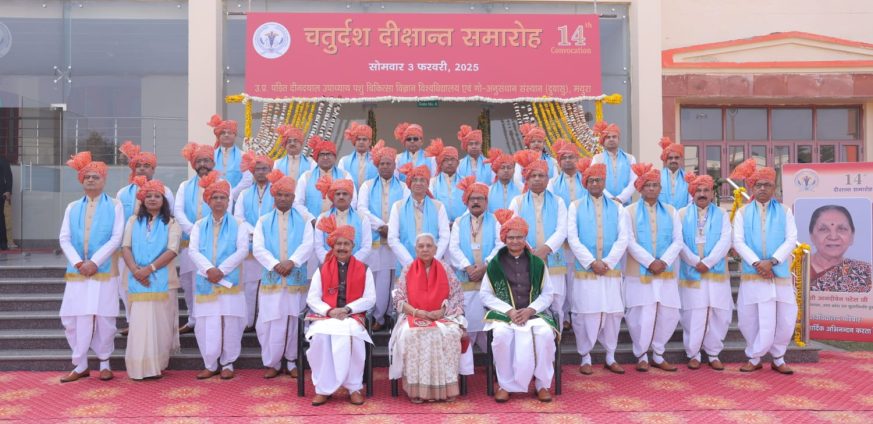 WhatsApp-Image-2025-02-05-at-20.26.03-873x424