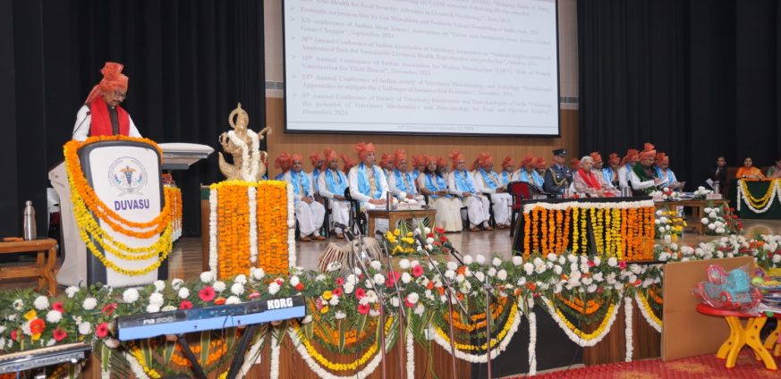 WhatsApp-Image-2025-02-05-at-20.27.43-873x424